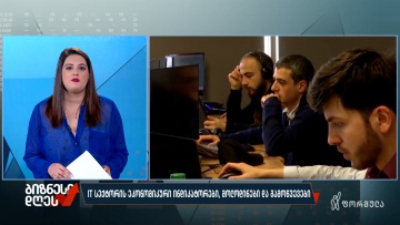 IT სექტორის ეკონომიკური ინდიკატორები, მოლოდინები და გამოწვევები