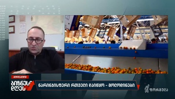 ნარინჯისფერი რთველი დაიწყო — მოლოდინები