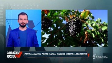 ღვინის გაპიარება ₾18 მლნ დაჯდება — გაზრდილი ბიუჯეტი და მოლოდინები